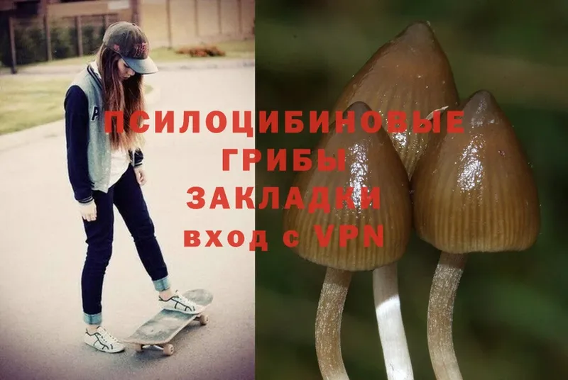 Псилоцибиновые грибы Magic Shrooms  Карталы 